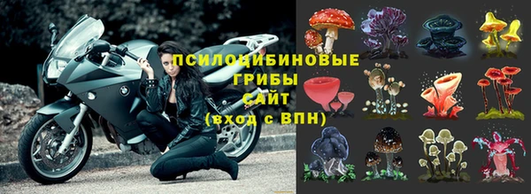 mdpv Сатка