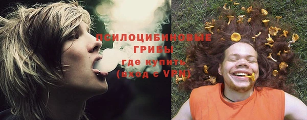 шишки Сафоново