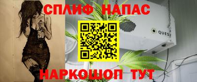 шишки Азнакаево