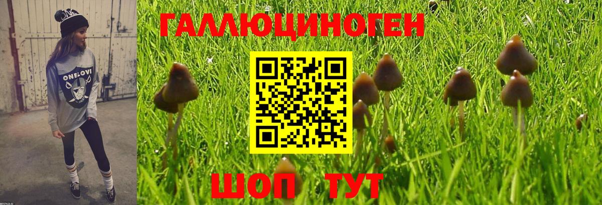 Псилоцибиновые грибы Magic Shrooms  Вход с VPN  Александров 