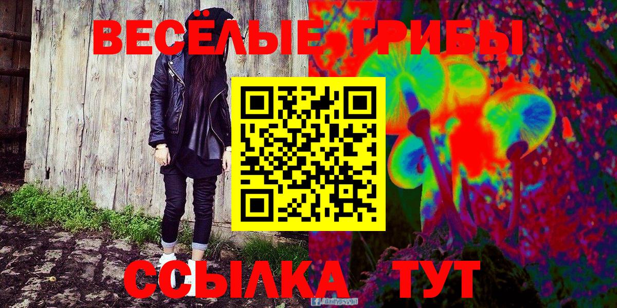 Псилоцибиновые грибы прущие грибы Александров