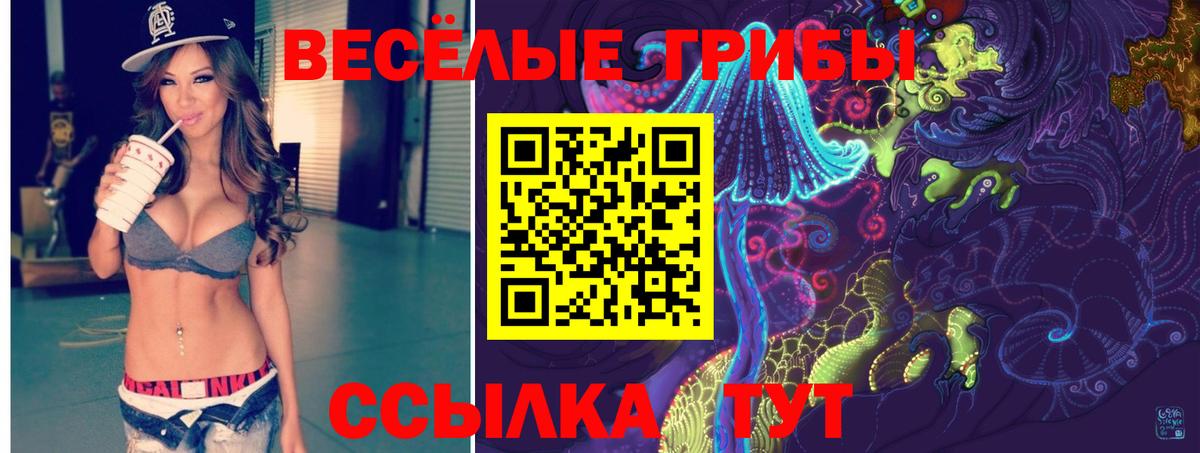 Псилоцибиновые грибы мицелий Александров