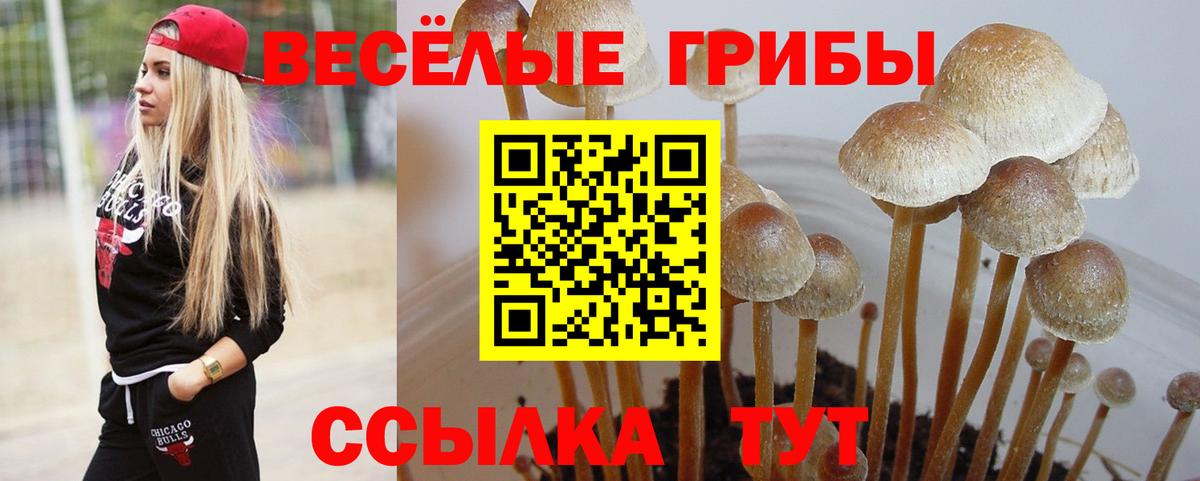 Галлюциногенные грибы ЛСД Александров