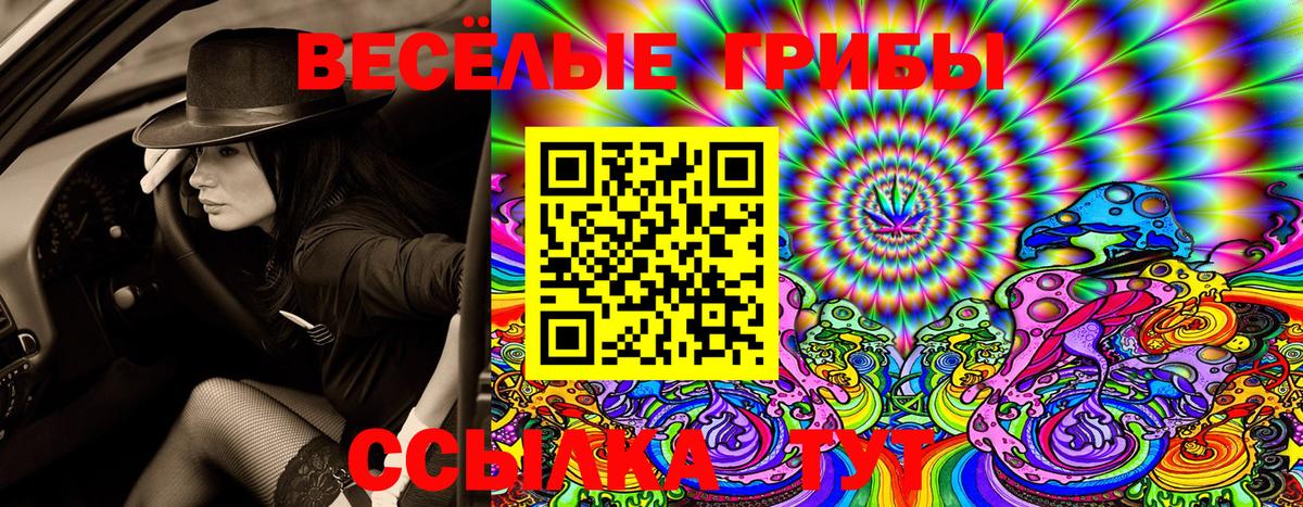 Галлюциногенные грибы Cubensis  Александров 