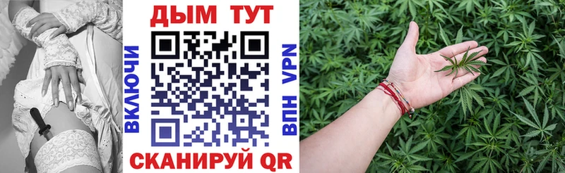 Канабис ГИДРОПОН  купить наркотик  Александров 